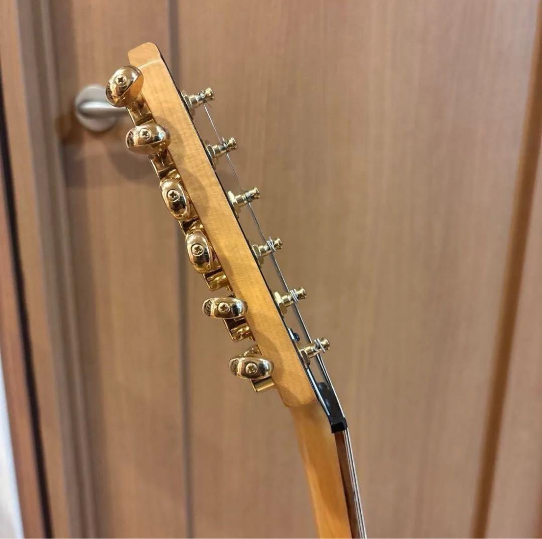 FERNANDES FGZ400 ゴールドパーツ仕様 トレモロアーム ケース付