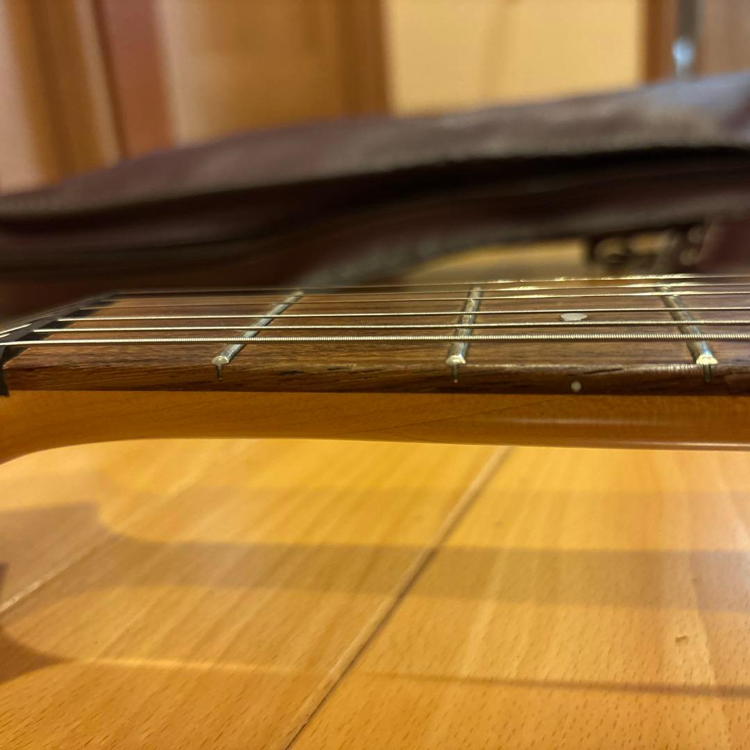 FERNANDES FGZ400 ゴールドパーツ仕様 トレモロアーム ケース付