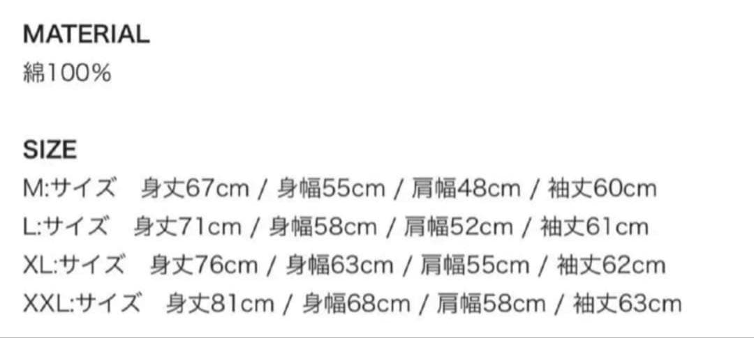Hi-STANDARD pizza of death 難波章浩着用 L