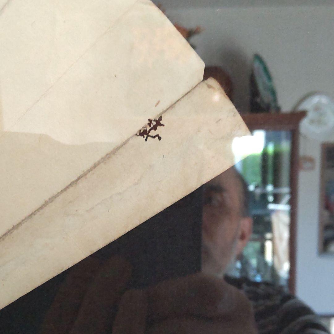 松林桂月筆-梅花扇面画 扁額