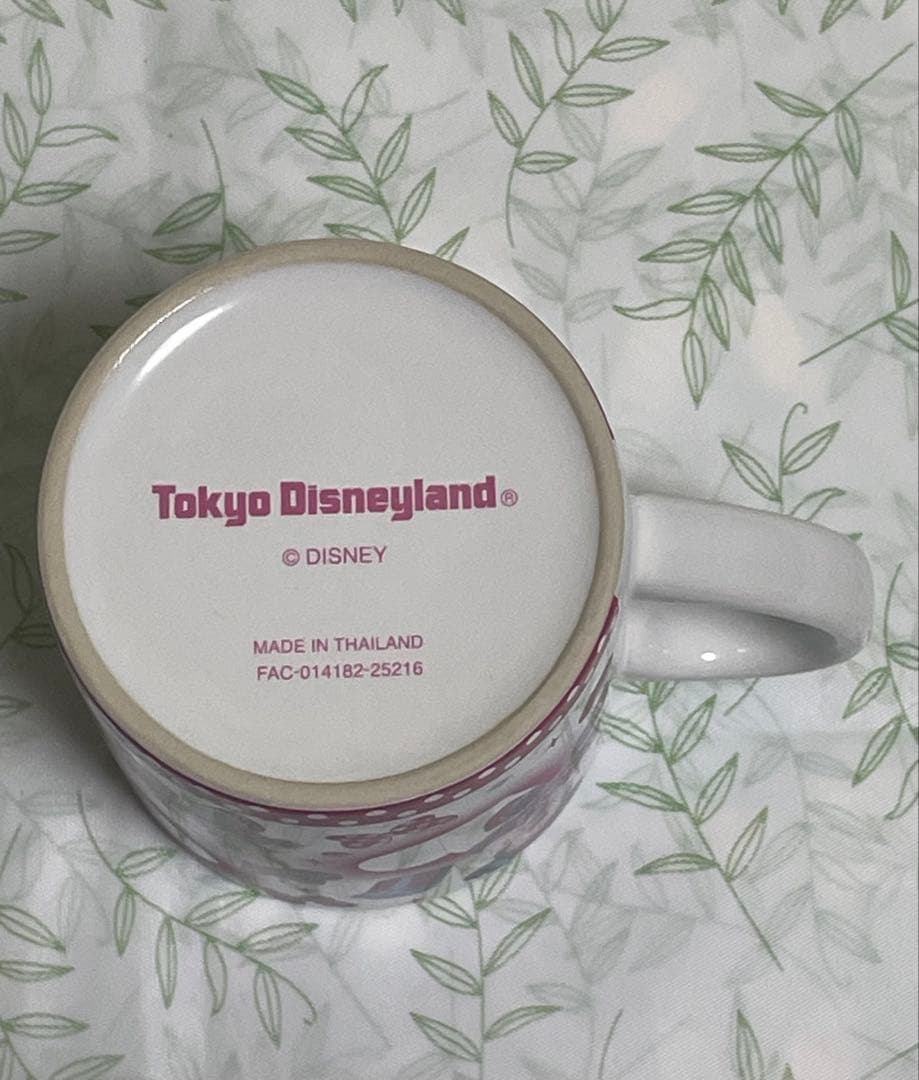 パルパルーザ　ミニー@ファンダーランド　ポップコーンケース　スーベニア　5点