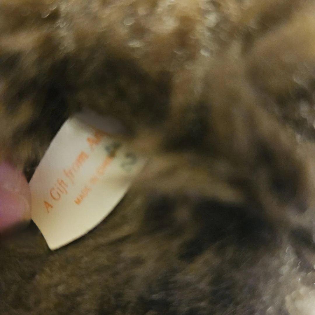 モンチッチ　ぬいぐるみ　大きめ