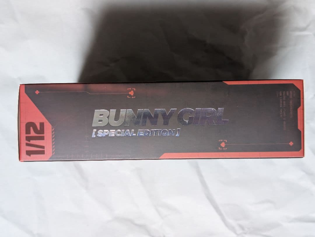 バニーガール アイリン サンキスドVer. フット サイクロンバニー パーカー