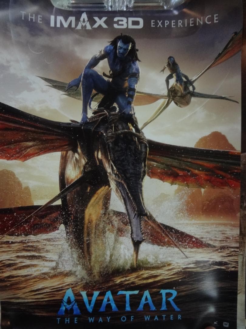 IMAX® シネマズ   入手困難非売品ポスター３０枚セット