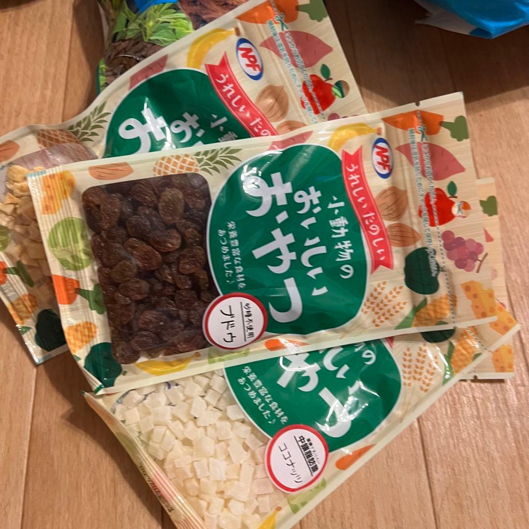 デグー　DRGU 飼育セット　餌　サンド　シートなど
