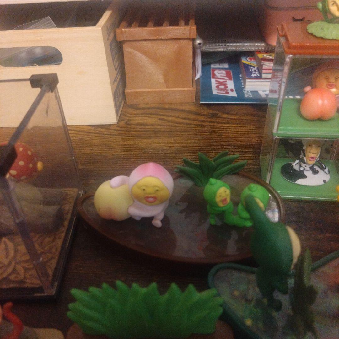 こびとづかん生態系セット(1部部品なし)