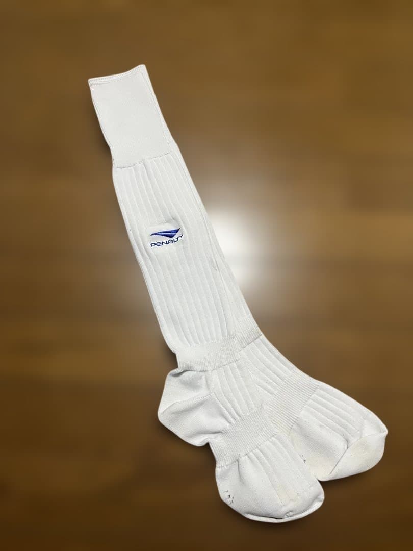 サッカー　神奈川選抜　トレセン　L