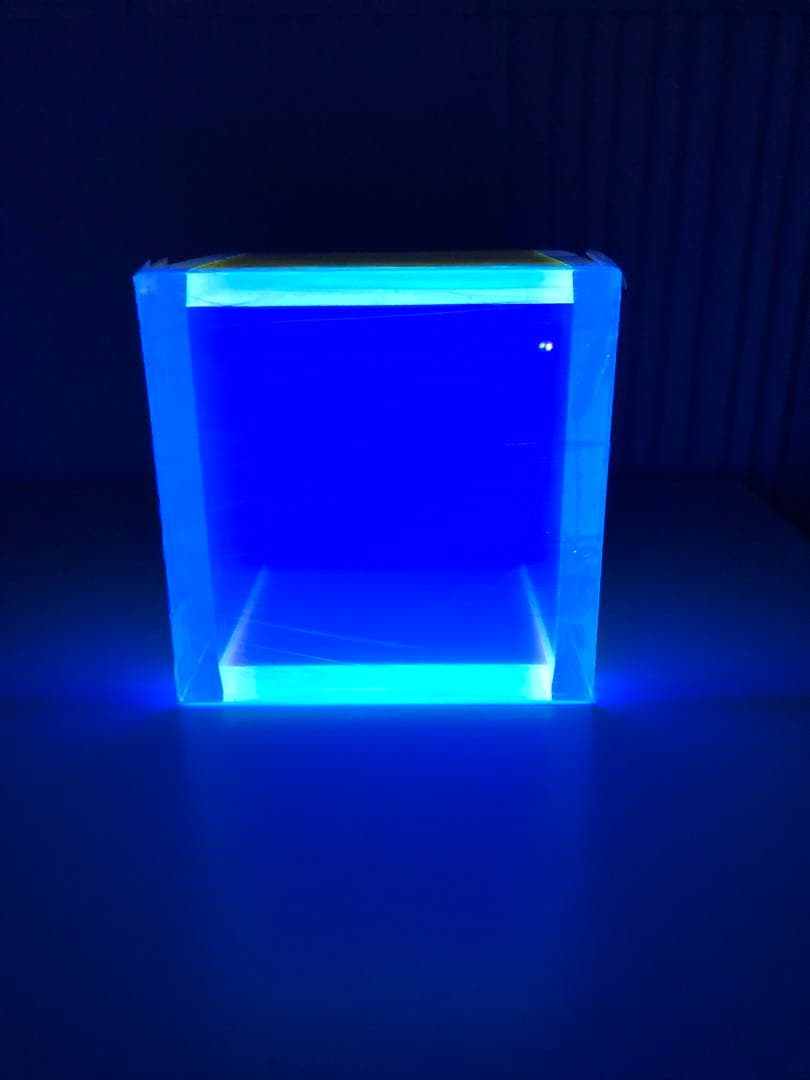 コレクター必見❗️希少‼️レギーネ・シューマン　Regine Schumann