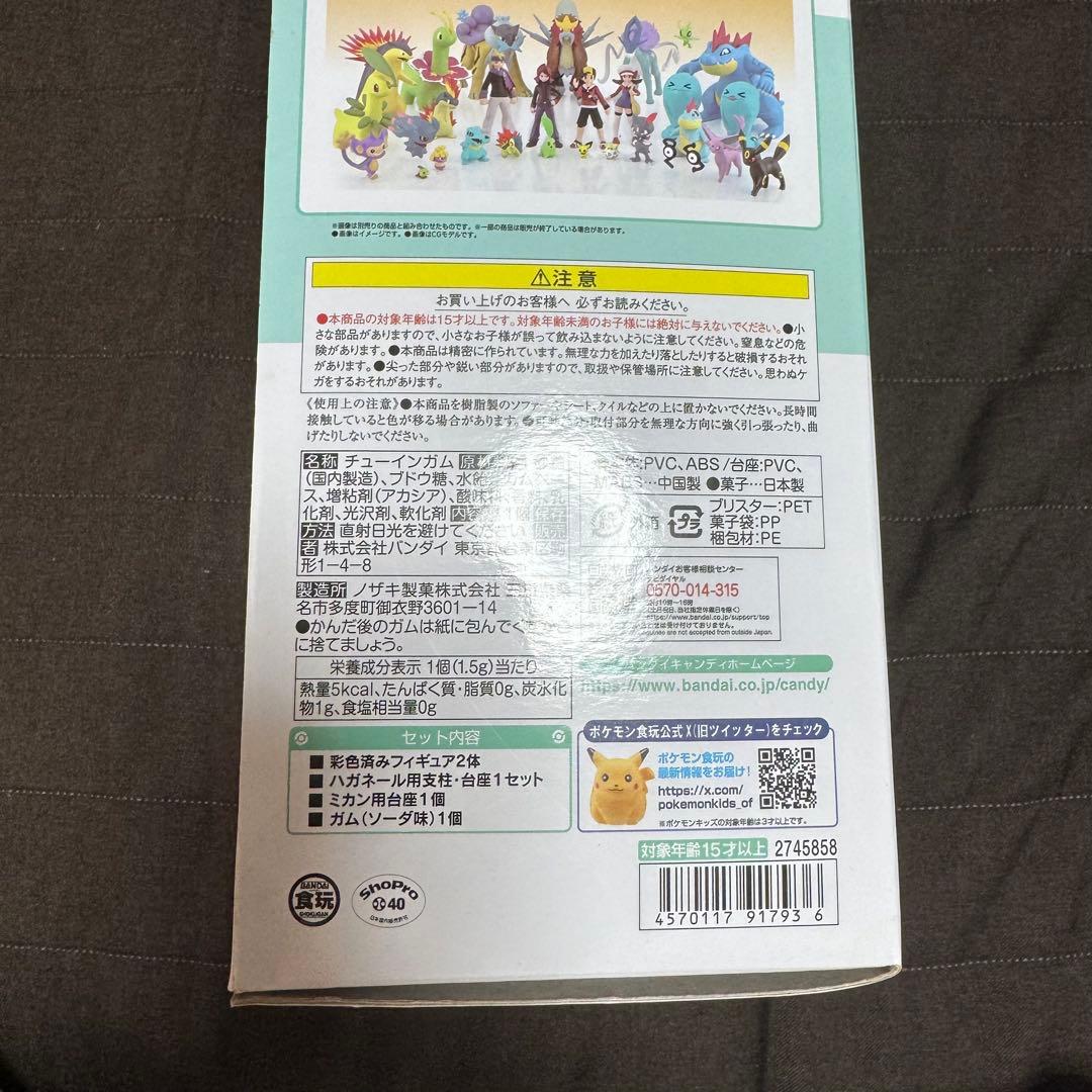 ポケモンスケールワールド ミカン&ハガネイル