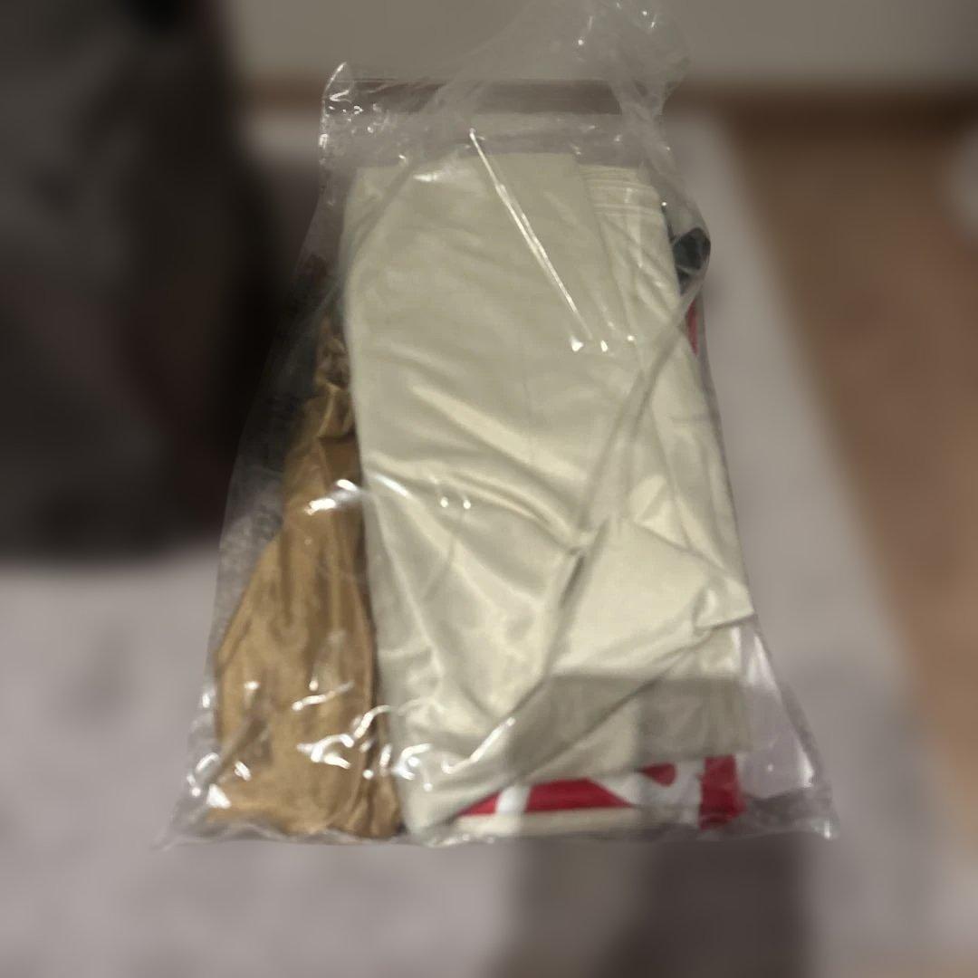 Coleman インスタントバイザーシェードⅡ/L グレージュ　サイドウォール付