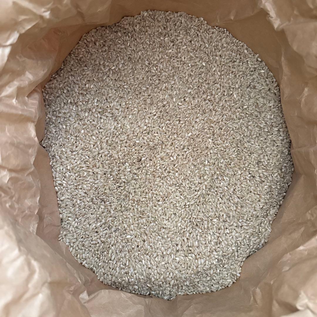 愛媛県産 きぬむすめ 令和6年玄米古米