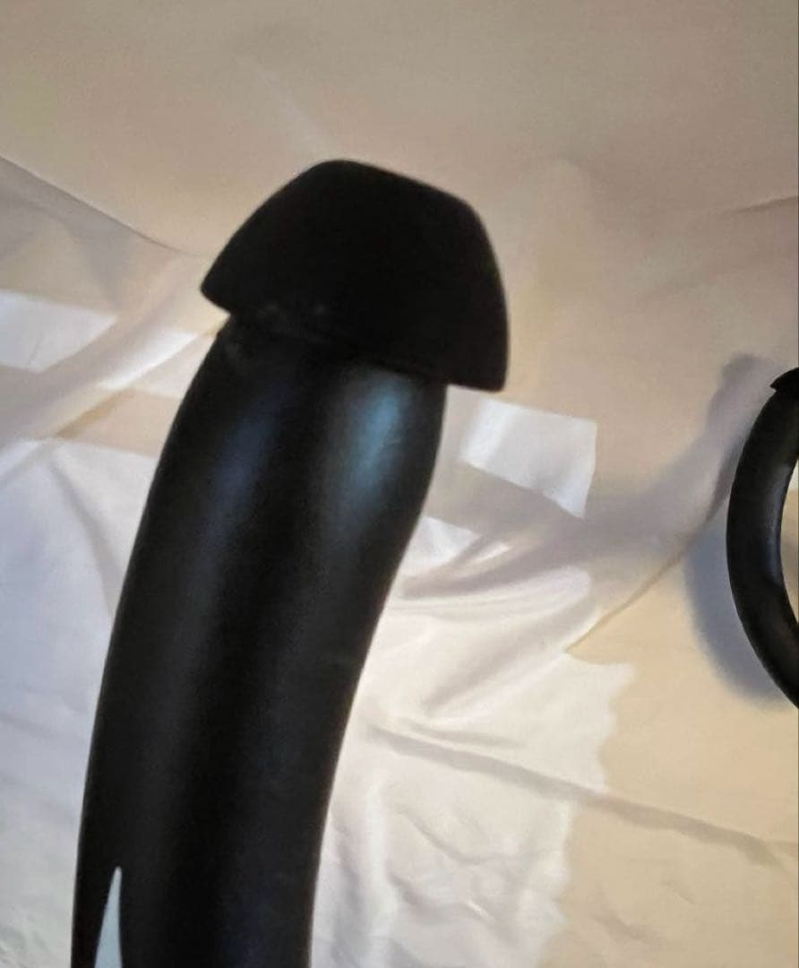 中古レア ENVE白ロゴ ハンドル