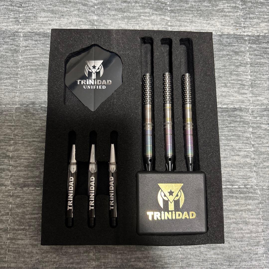 Hugo TYPE2 ダーツ　バレル　ヒューゴ