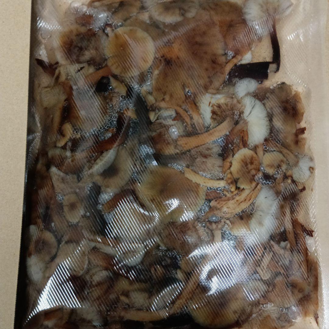 秋田県産天然ナラタケ 塩蔵4㎏