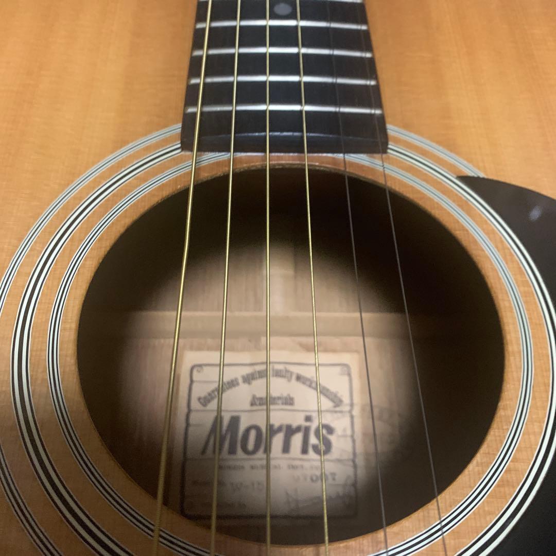 MORRIS モーリス W-15 アコギ アコースティックギター