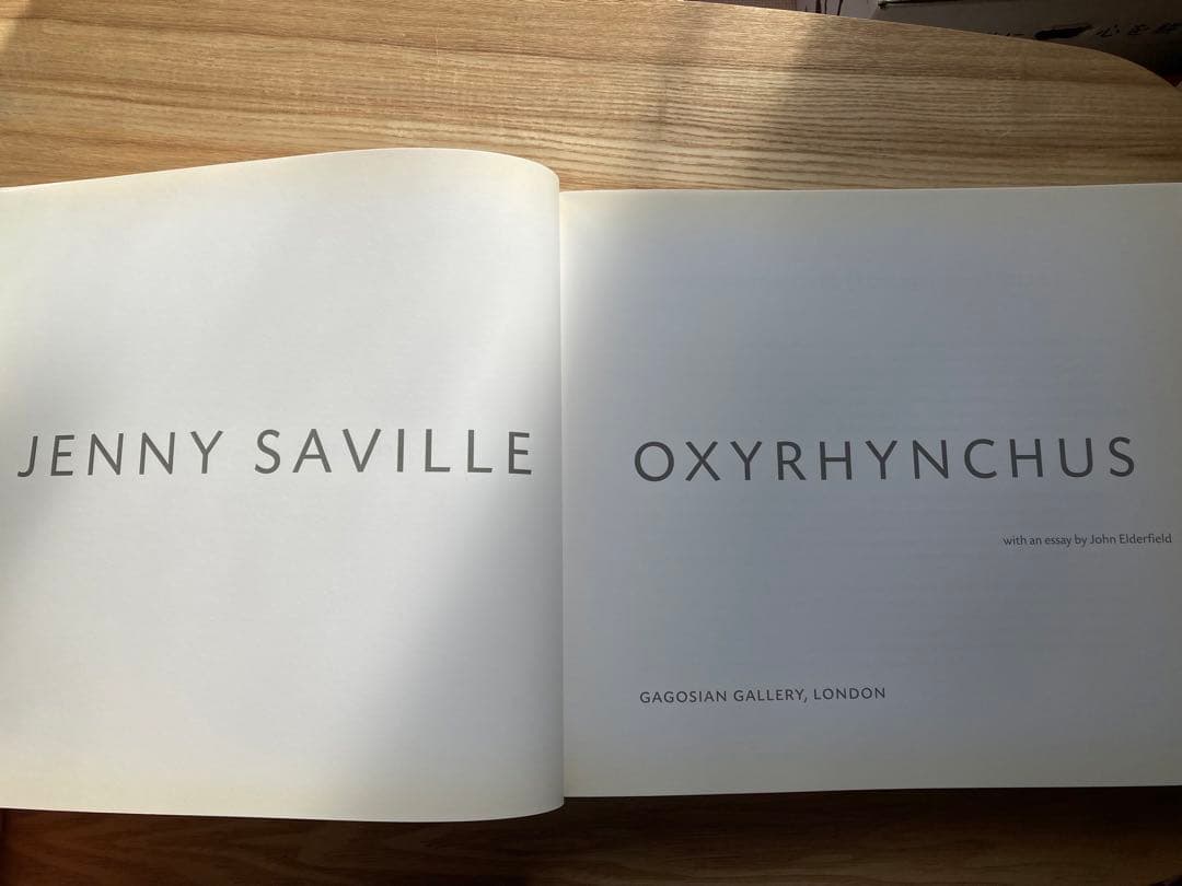 ジェニー・サヴィル OXYRHYNCHUS アートブック