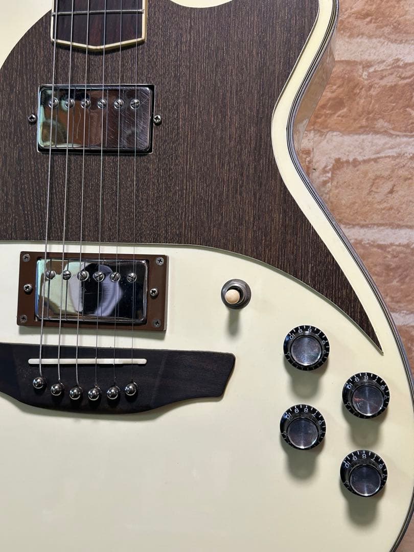 STRINBERG フルアコ化リメイクギター