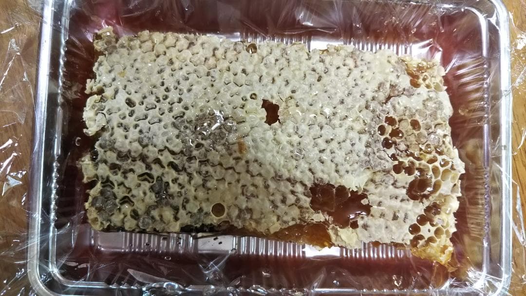 【結晶】ニホンミツバチの百花蜜1050g