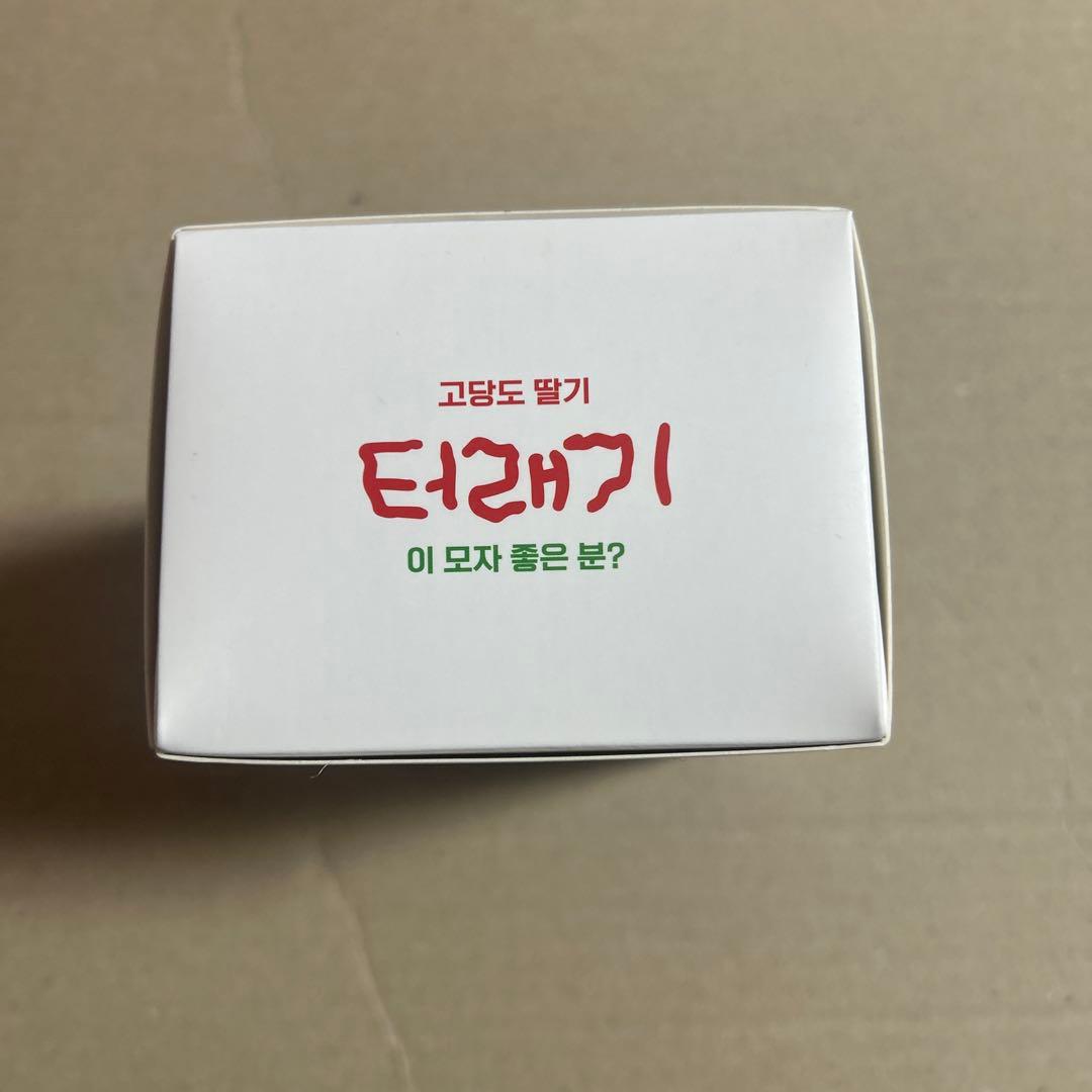 ベッキョン TEOLAEGI トレギ　10cm いちご