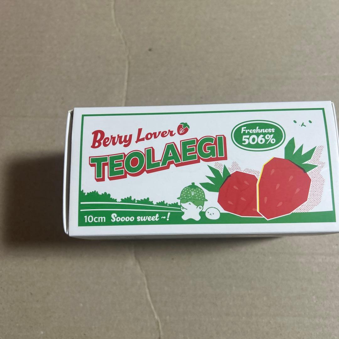 ベッキョン TEOLAEGI トレギ　10cm いちご