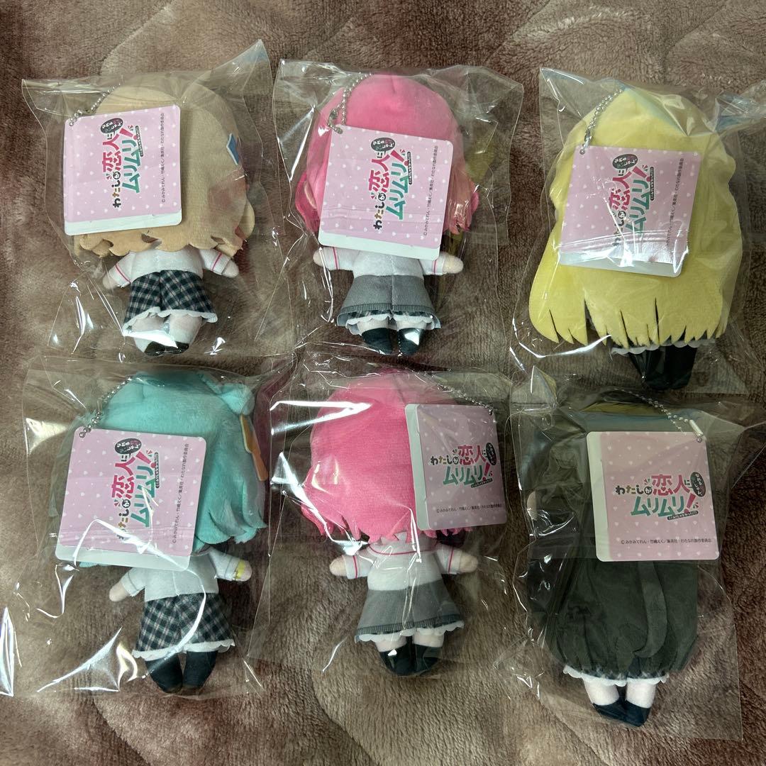 わたなれ ふぁぶぬい 6点セット