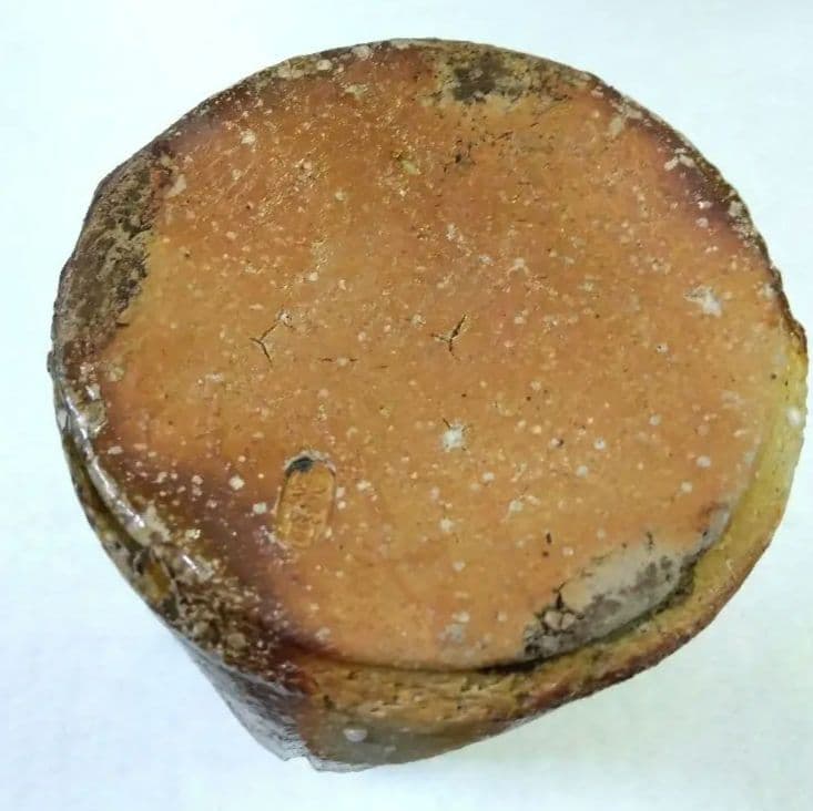 茶道具 花入 信楽 耳付 三代 高橋楽斎 鴻池伝来写 信楽焼