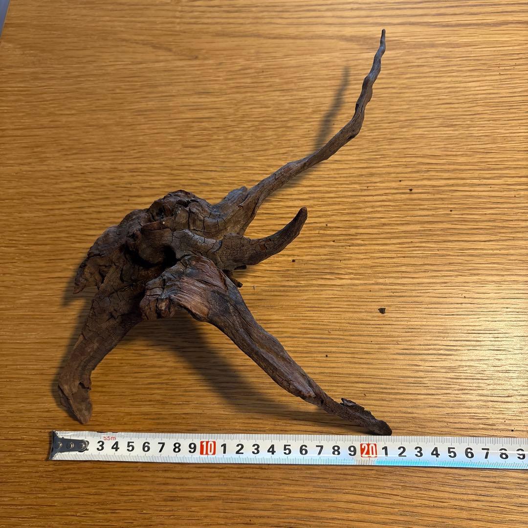 ADA流木　6点（まとめ買いの場合は500円引き）