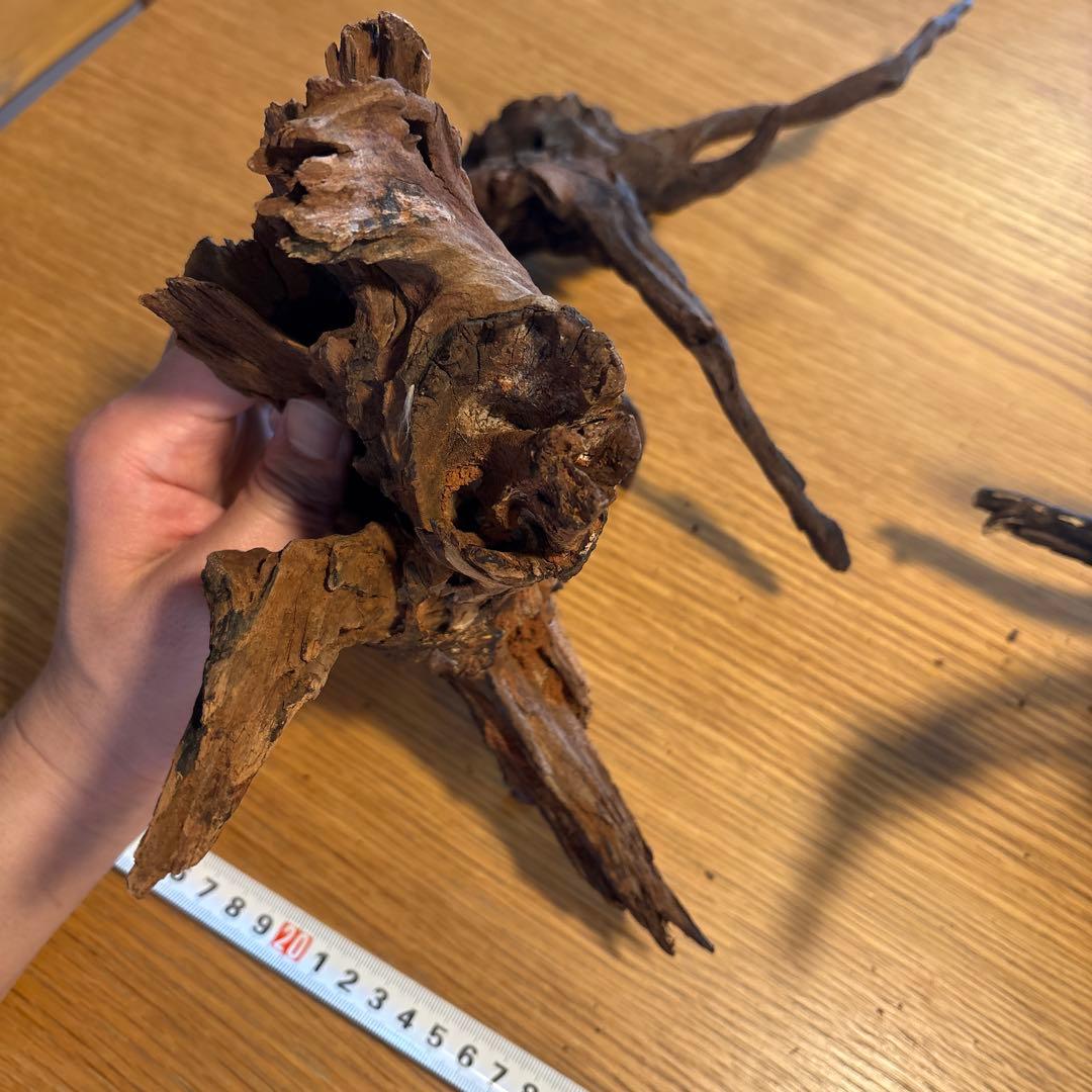 ADA流木　6点（まとめ買いの場合は500円引き）