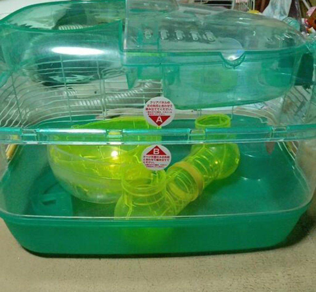 多頭飼育していて