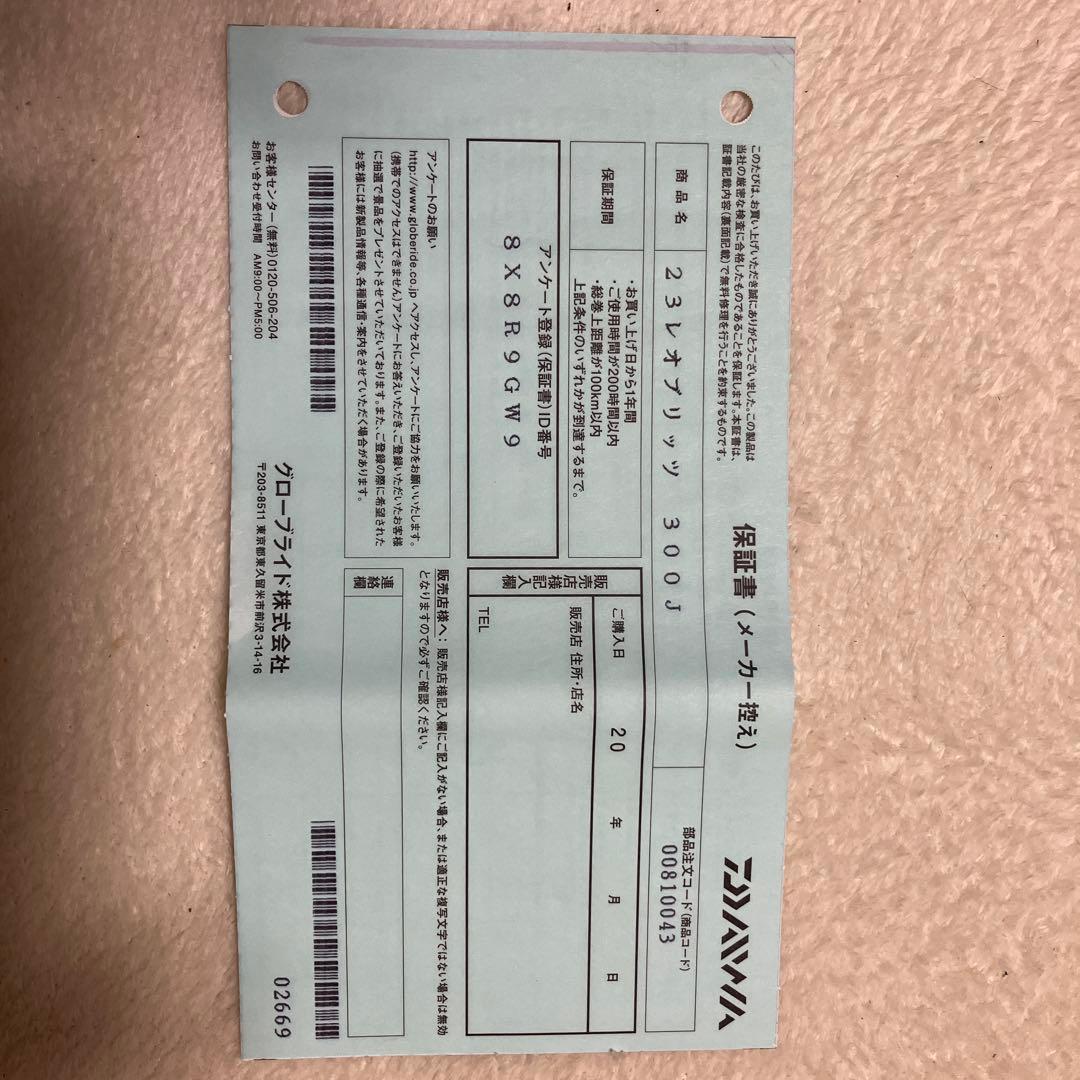 新品　DAIWA LEOBRITZ 300J ダイワ　電動リール　レオプリッツ