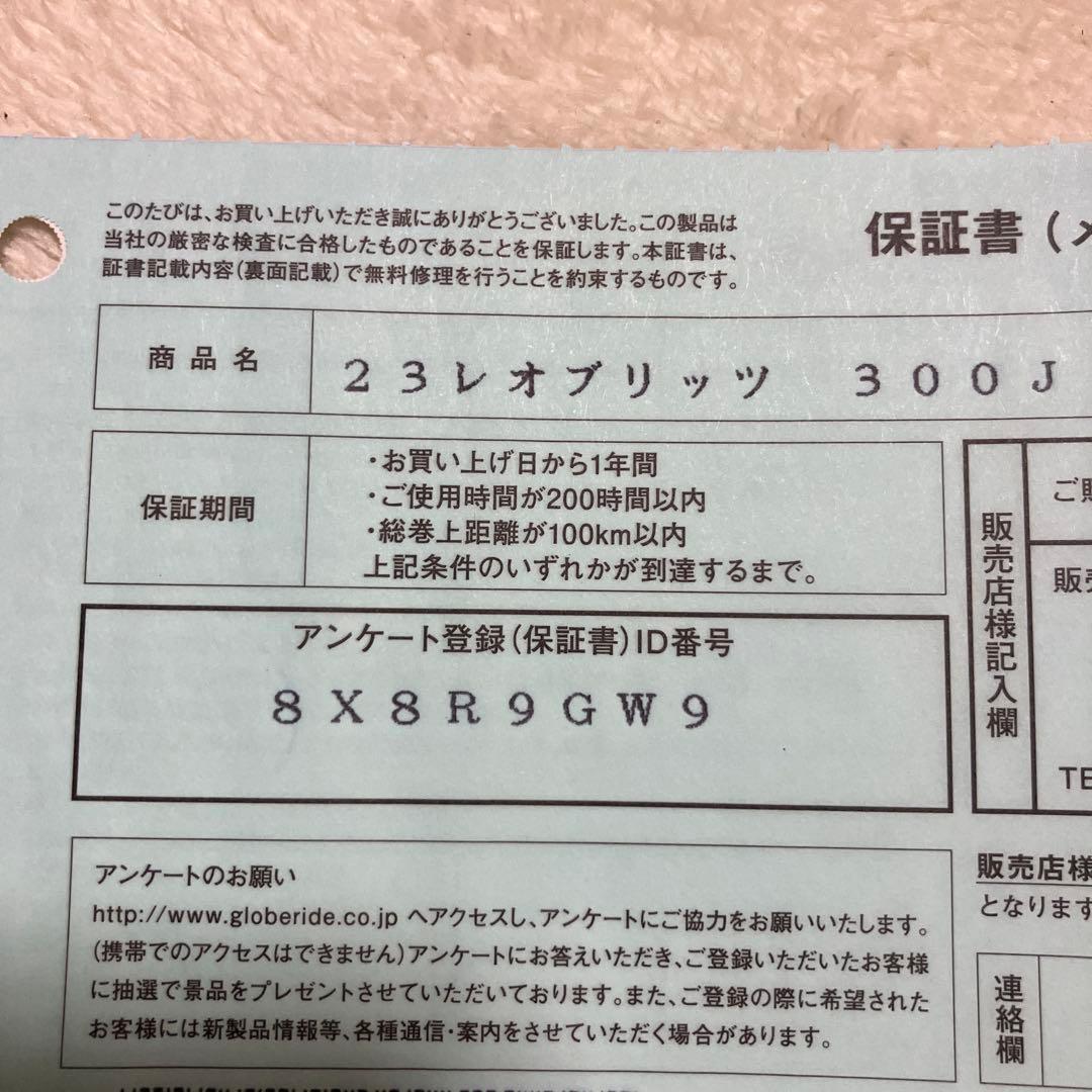 新品　DAIWA LEOBRITZ 300J ダイワ　電動リール　レオプリッツ