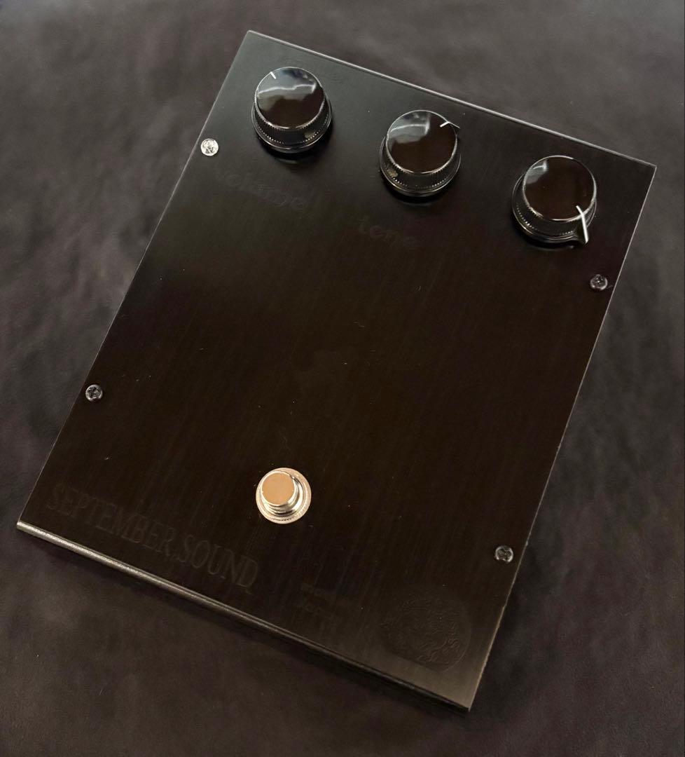 ギター September Sound Violetta v2 dark side