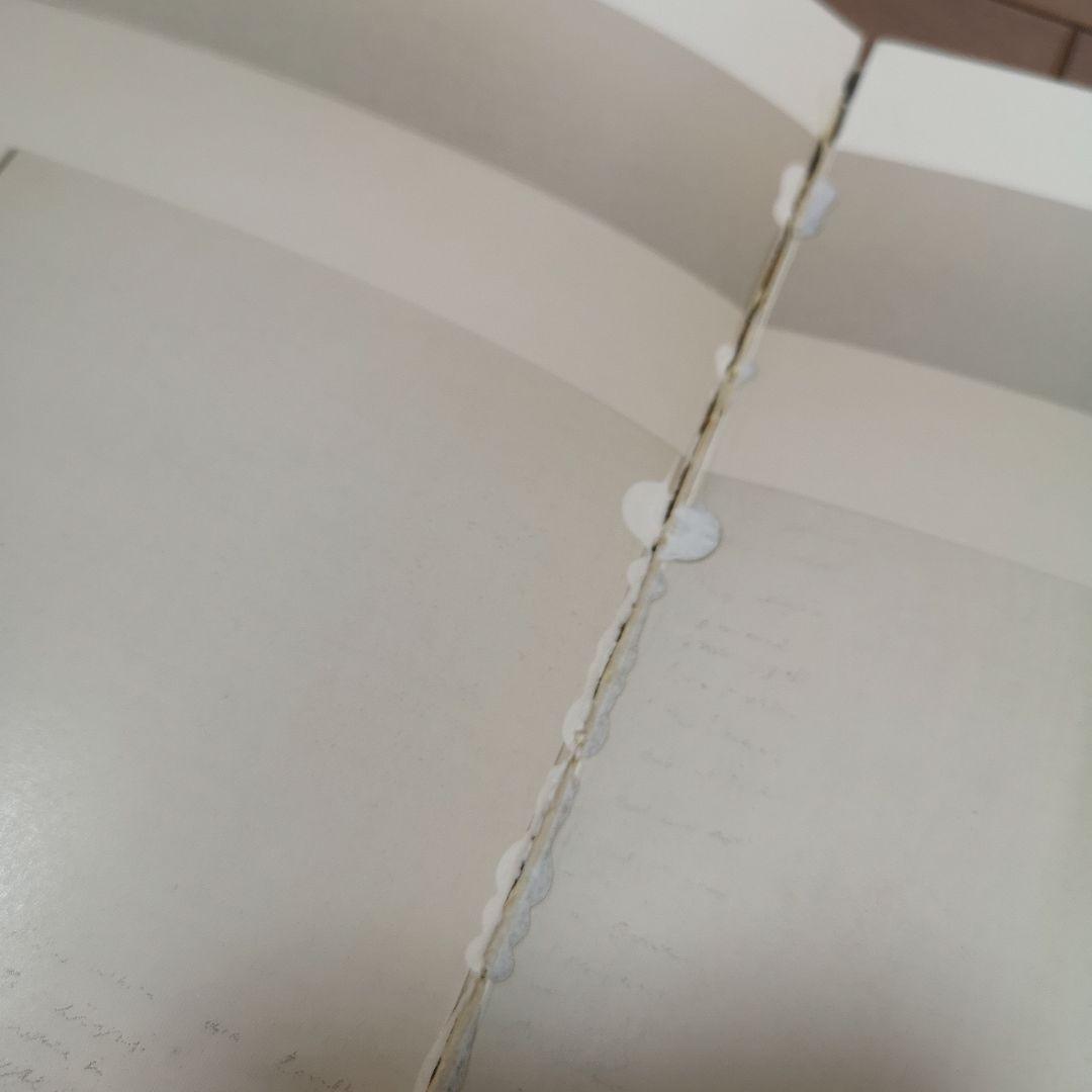 CY TWOMBLY サイ・トゥオンブリー　ガゴシアンギャラリー展示の時の図録？