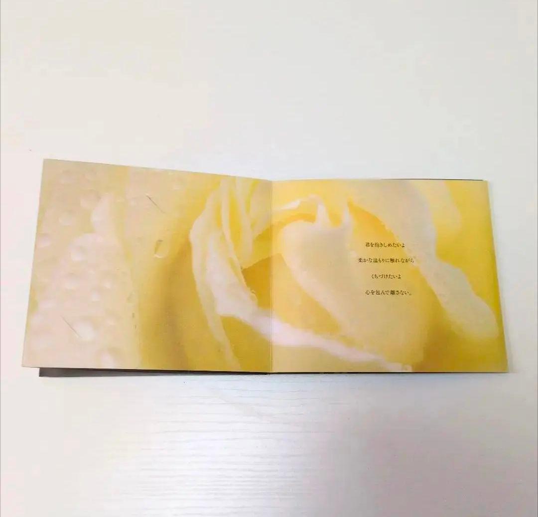 非売品希少　状態良好　尾崎豊さんコレクションセット　小冊子、使用済テレカ他