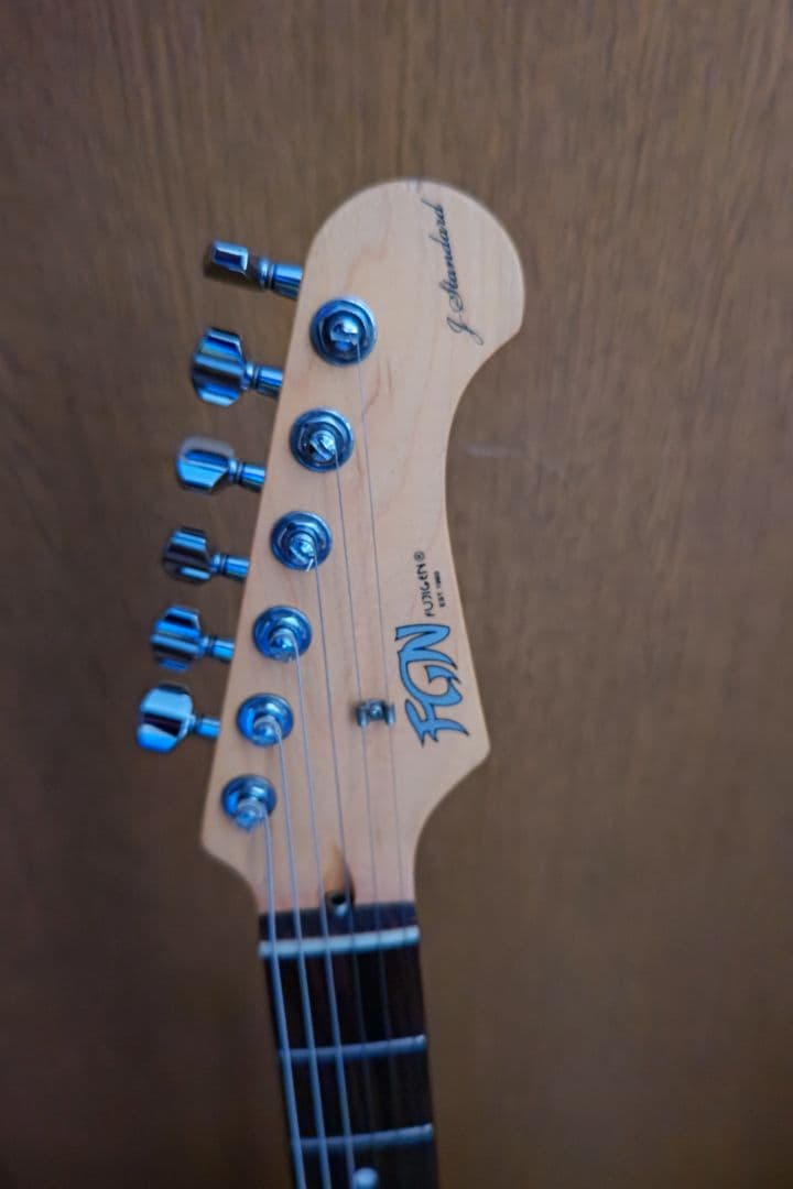 ギター FGN Stratocaster