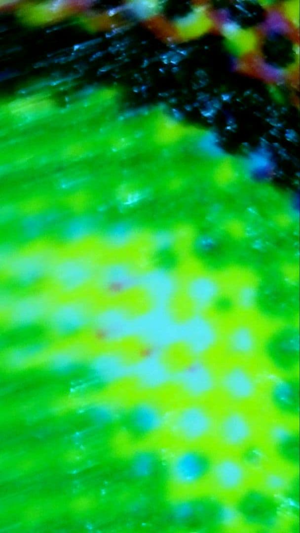 d*f様 MTG BLC バンブルフラワー夫人 レイズドFoil 英語