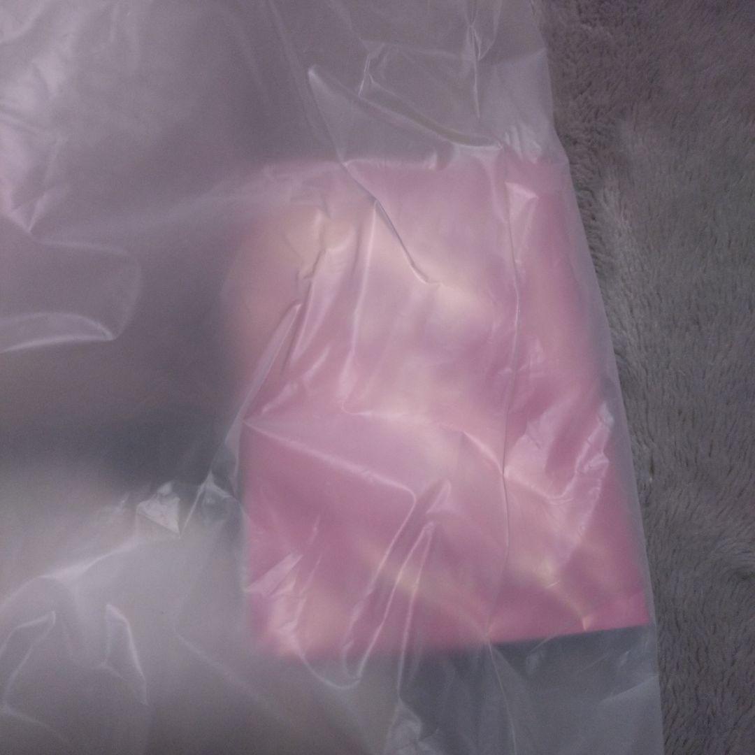 StrayKids　リービット　テディベア　リノ　skzoo　スキズ