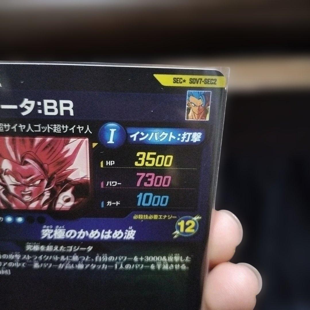 Sdv7-sec2 パラレル　ゴジータbr