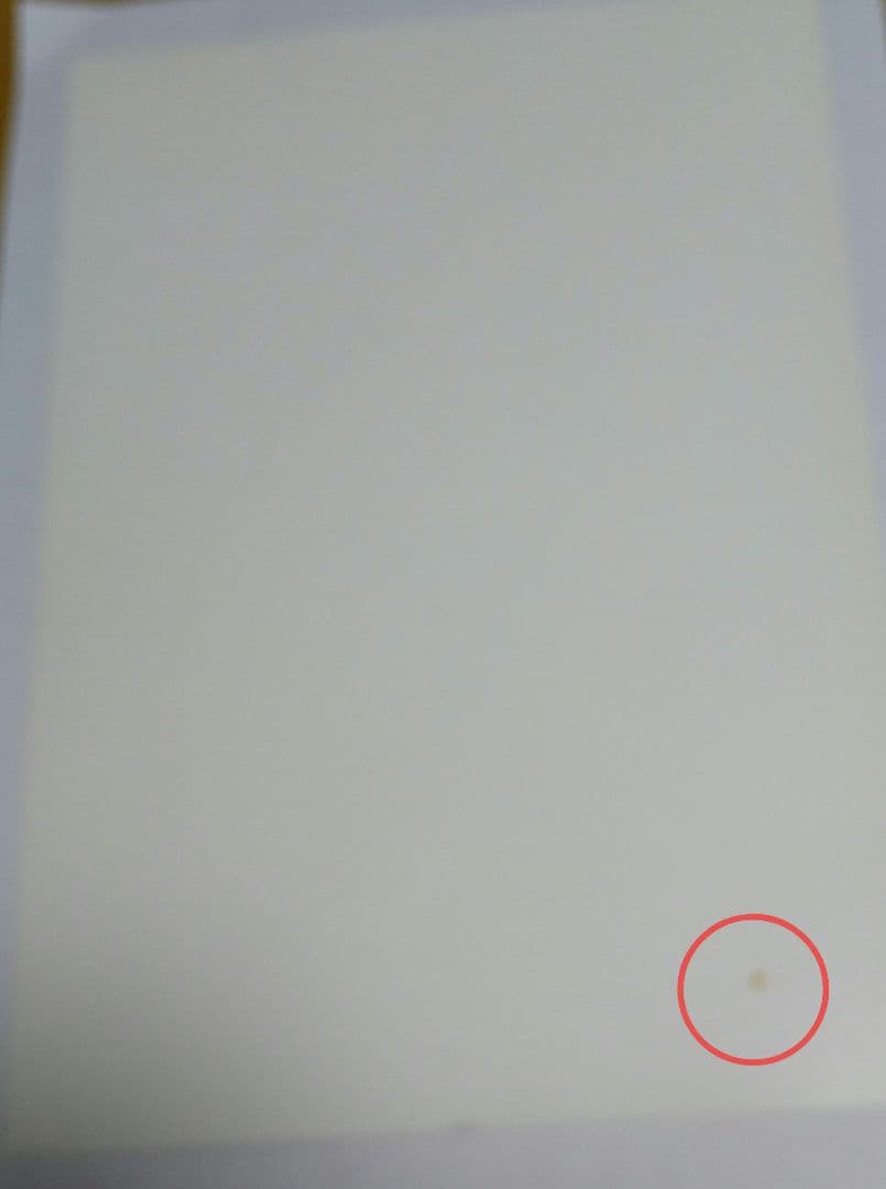 大谷翔平選手 ★ 証明書3枚★