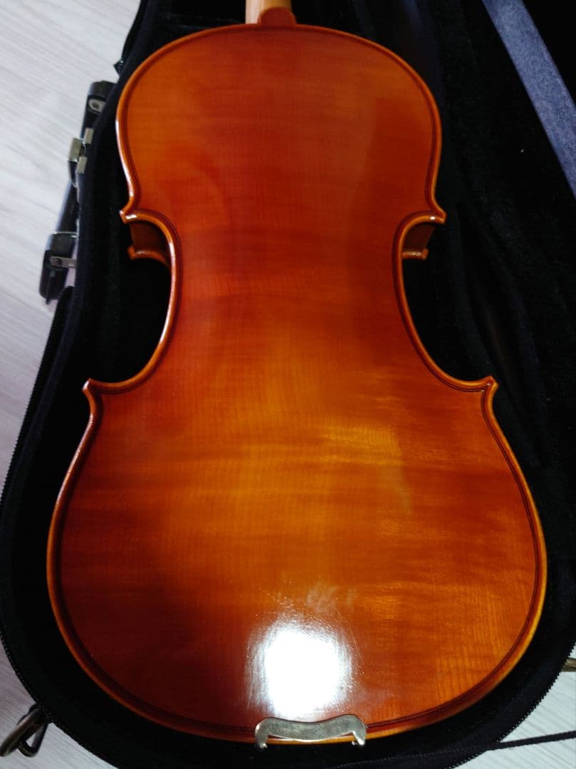 Eastman Strings VL80 バイオリン 4/4 ケース、弓、松脂付