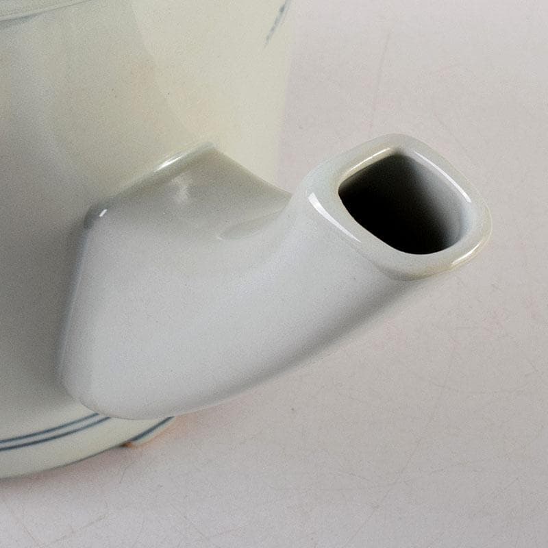 Palm Tree　古伊万里写　染付　山水文　水注　共箱　V　7975C