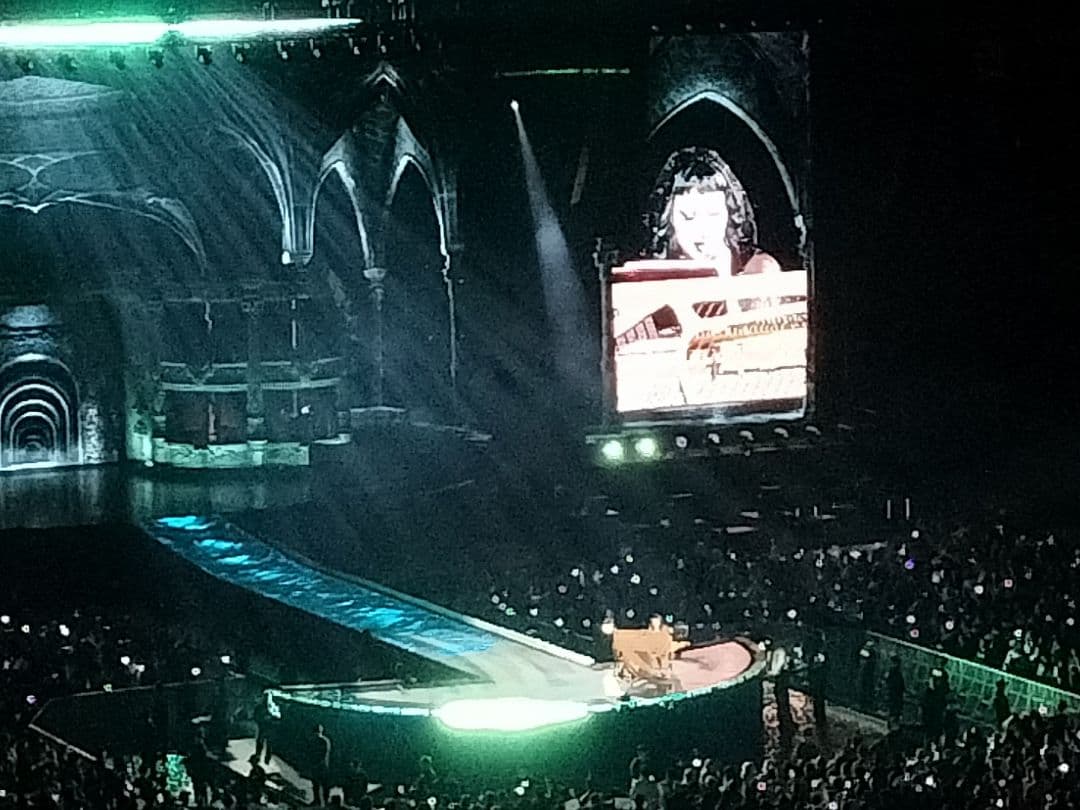 Lady Gaga Mayhem Ball ツアーTシャツ　　　Mサイズ