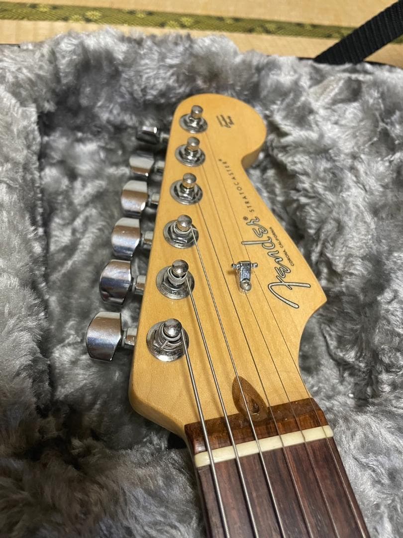 Fender Am Pro Strat HSS 2019 ケース付