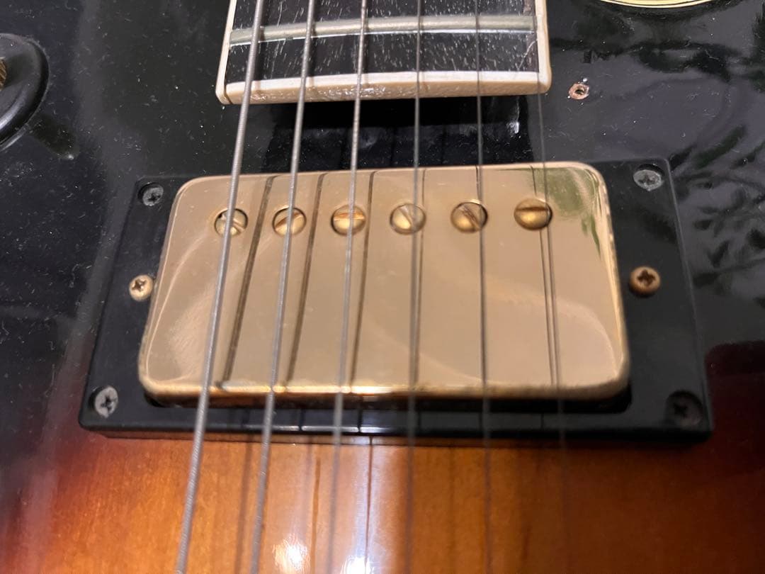 Aria Pro II PE-175 ハーブエリスモデル　ケースなし