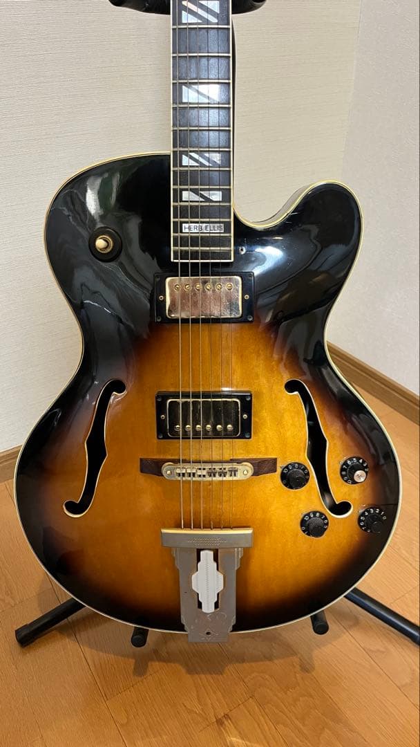 Aria Pro II PE-175 ハーブエリスモデル　ケースなし