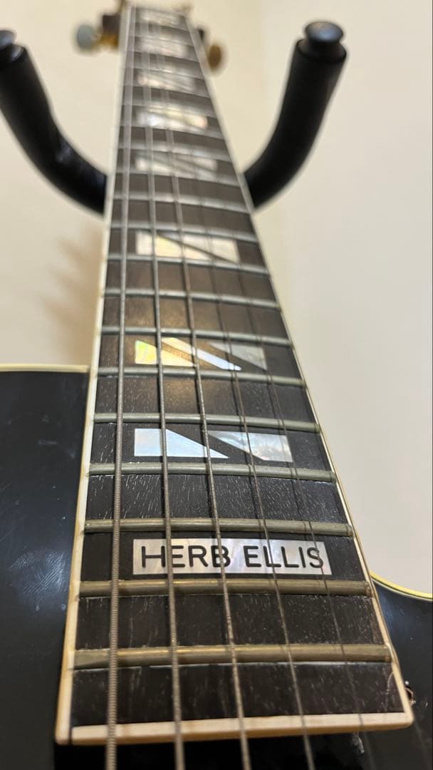 Aria Pro II PE-175 ハーブエリスモデル　ケースなし