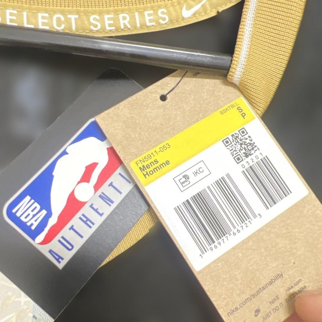 Nike NBAミルウォーキー・バックス ヤニス・アデトクンボ スウィングマン