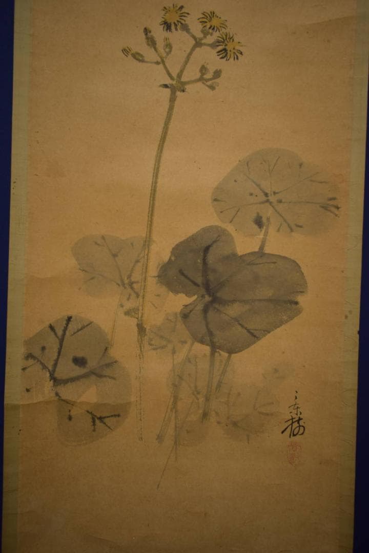 真作/今井景樹/蕗/小禽図/フキ/布袋屋掛軸HI-903