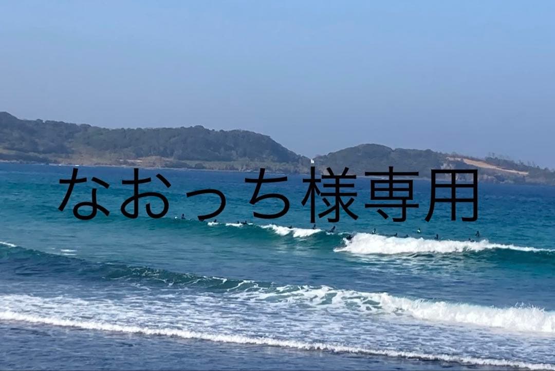 なおっち　ジャスティス　レトロツイン5'6
