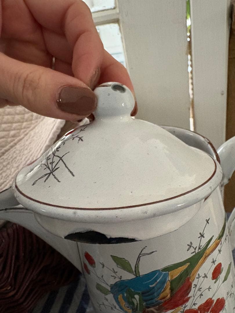 フランスアンティーク ホーロー 花と鳥の絵